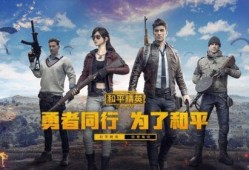 和平精英最新爆料关注谁,揭秘神秘角色与全新玩法