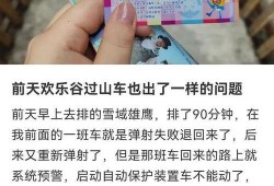 欢乐谷爆料事故最新消息,紧急调查中，游客安全状况引关注