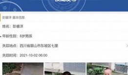 失踪男孩最新爆料,惊人爆料揭开神秘面纱