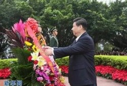 花篮网最新爆料新闻直播,最新爆料新闻直播幕后真相